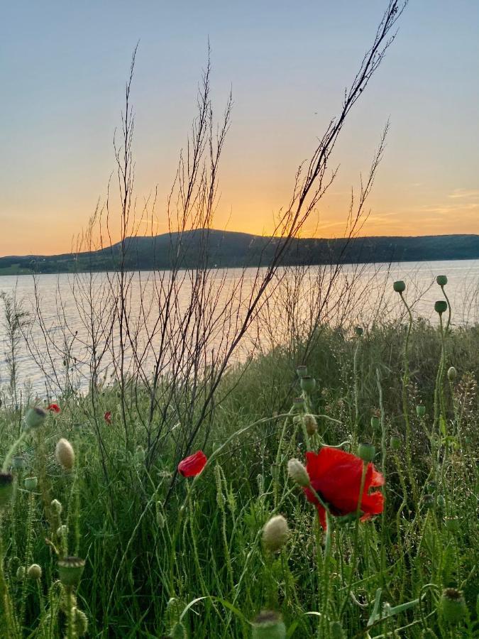 Caravans 10 Min To Tsonevo Lake & 35 Min To Black Sea Exterior foto