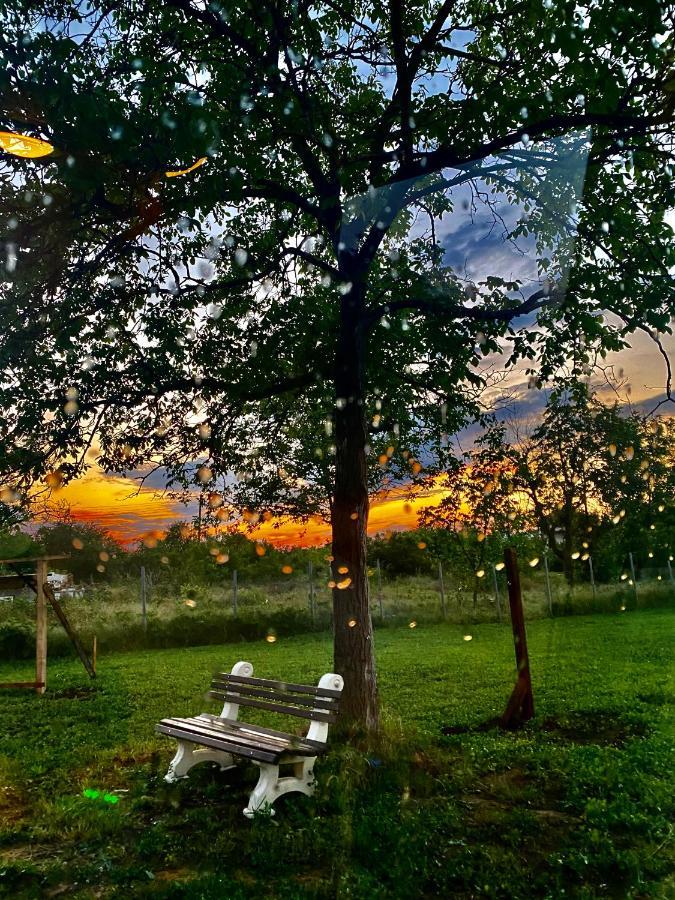 Caravans 10 Min To Tsonevo Lake & 35 Min To Black Sea Exterior foto